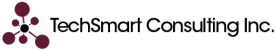 TechSmart Consulting Inc.